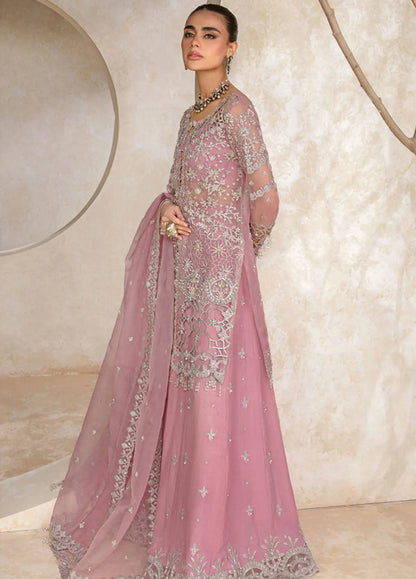 Rang Rasiya Chatoyer Embroidered Chiffon 3Pc Suit D-09 Natasha