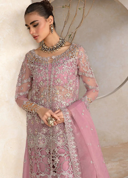 Rang Rasiya Chatoyer Embroidered Chiffon 3Pc Suit D-09 Natasha