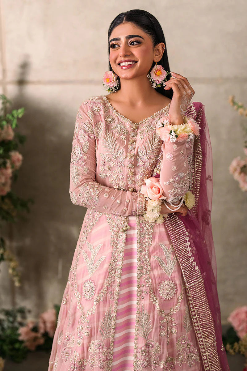 Mushq Mastani Evening Embroidered Chiffon 3Pc Suit MCH-03 MAISHA