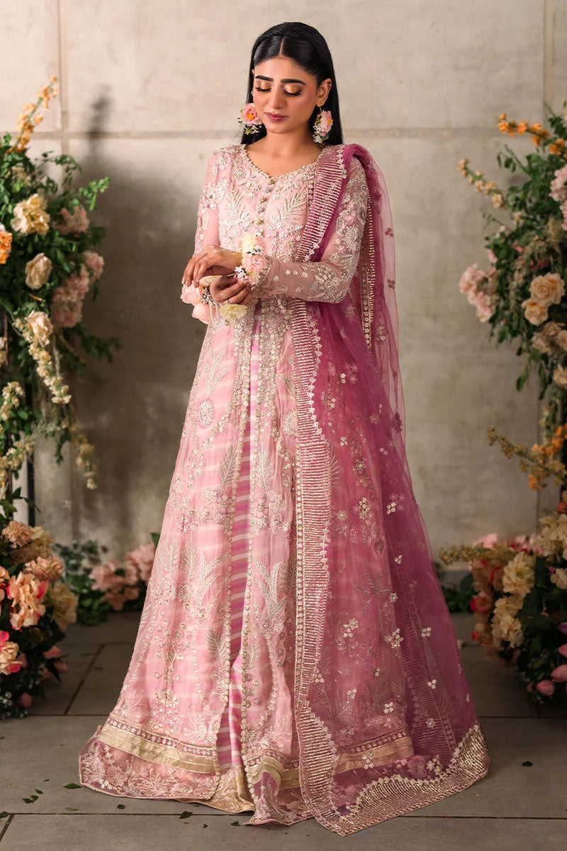 Mushq Mastani Evening Embroidered Chiffon 3Pc Suit MCH-03 MAISHA