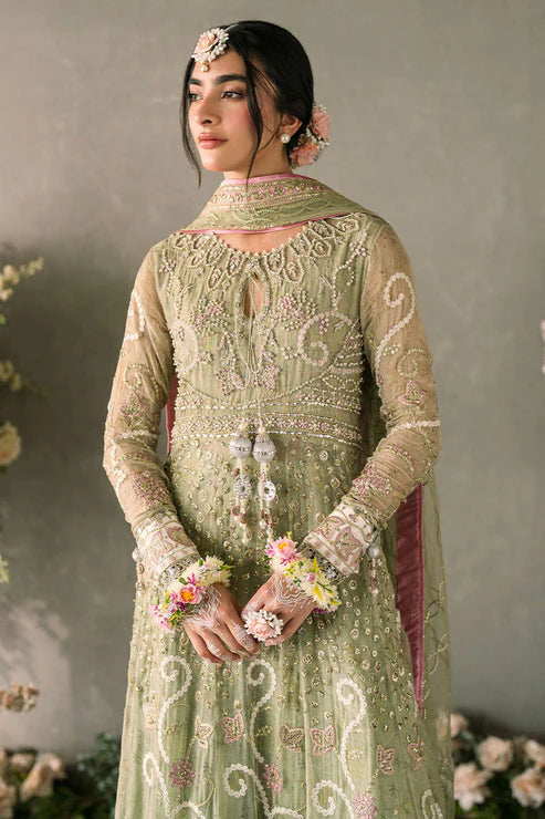 Mushq Mastani Evening Embroidered Chiffon 3Pc Suit MCH-10 NAMAR