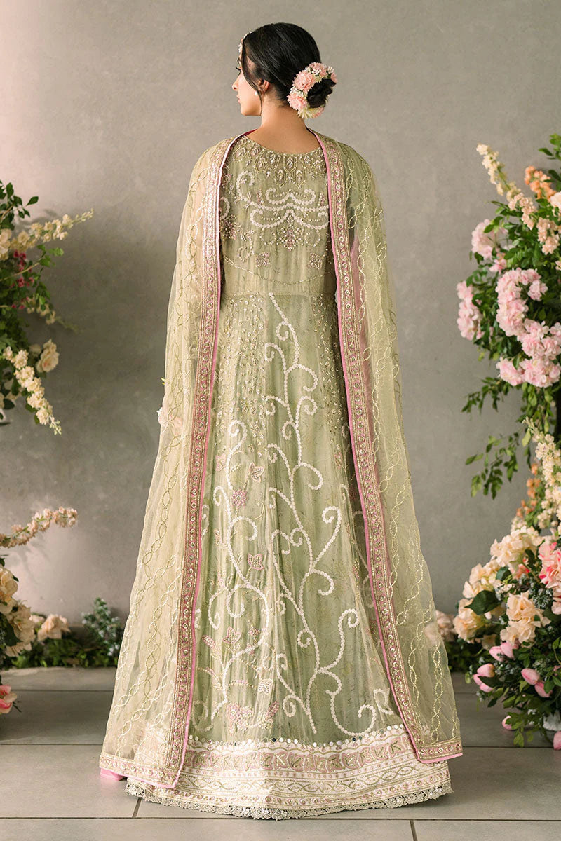 Mushq Mastani Evening Embroidered Chiffon 3Pc Suit MCH-10 NAMAR