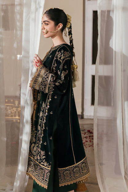 EMBROIDERED VELVET UF-255 - Riwayat-e-khas