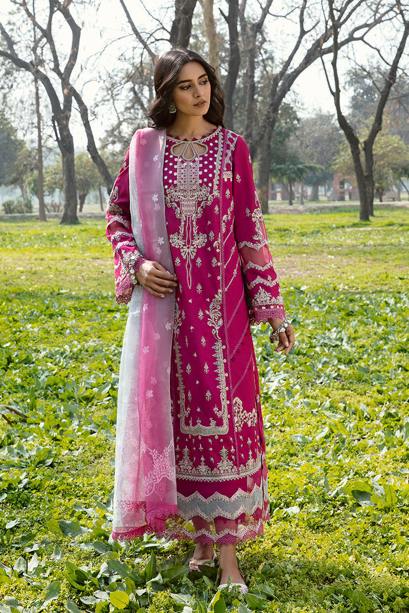 QALAMKAR QLINE-AK-13 LARISA-LAWN COLLECTION'23 - Riwayat-e-khas