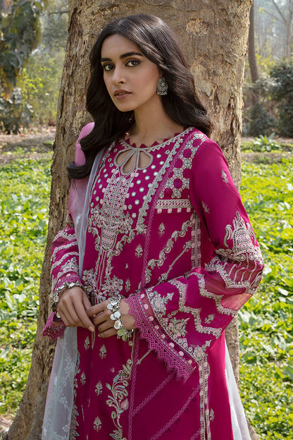 QALAMKAR QLINE-AK-13 LARISA-LAWN COLLECTION'23 - Riwayat-e-khas