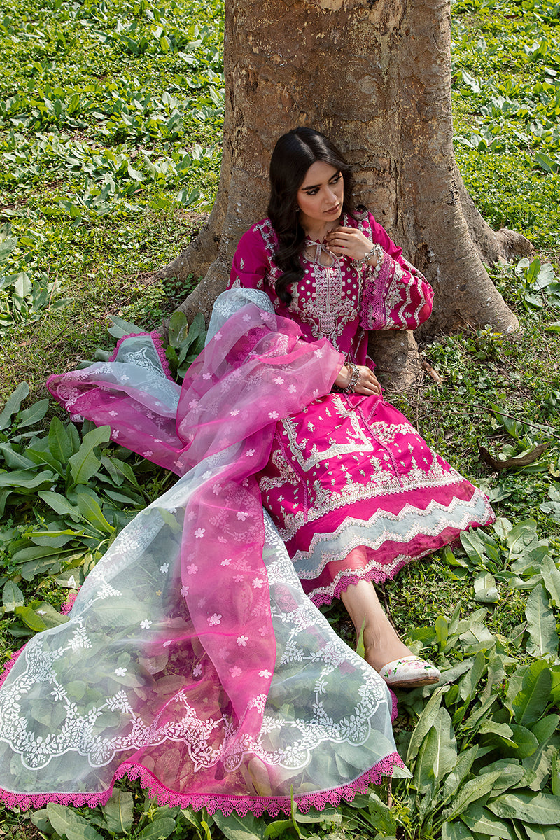 QALAMKAR QLINE-AK-13 LARISA-LAWN COLLECTION'23 - Riwayat-e-khas