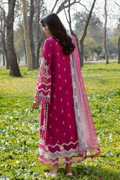 QALAMKAR QLINE-AK-13 LARISA-LAWN COLLECTION'23 - Riwayat-e-khas