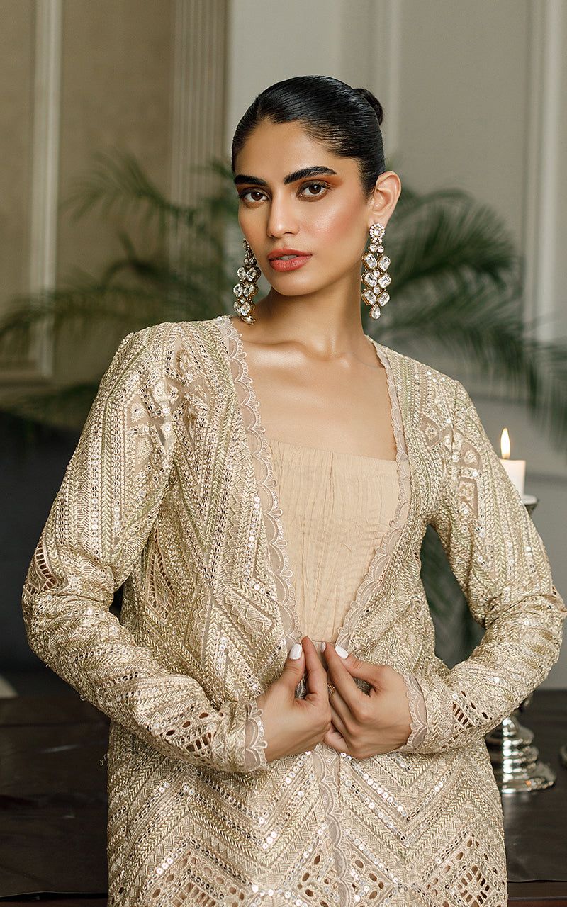 Organza Embroidered Jacket with Maxi - Riwayat-e-khas