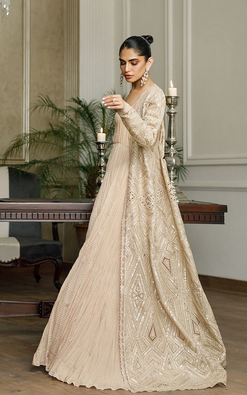 Organza Embroidered Jacket with Maxi - Riwayat-e-khas