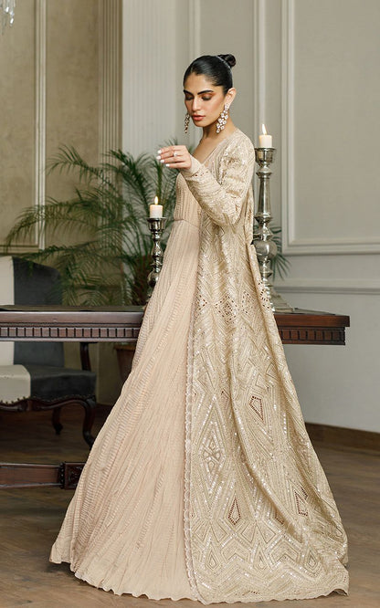 Organza Embroidered Jacket with Maxi - Riwayat-e-khas