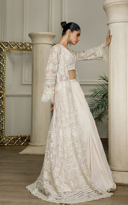 Net Embroidered Jacket with Skirt - Riwayat-e-khas