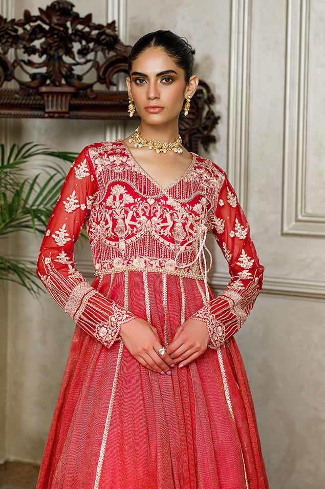 Net Embroidered Dress - Riwayat-e-khas