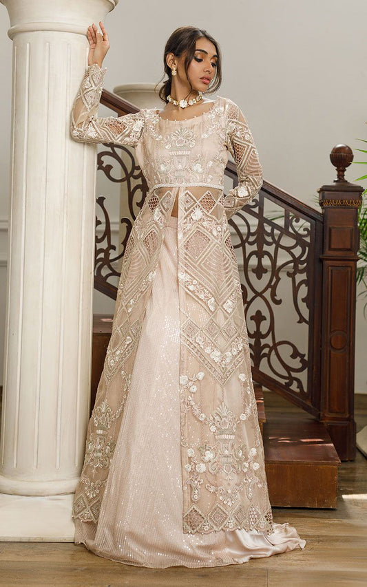 Organza Embroidered Dress with Skirt - Riwayat-e-khas