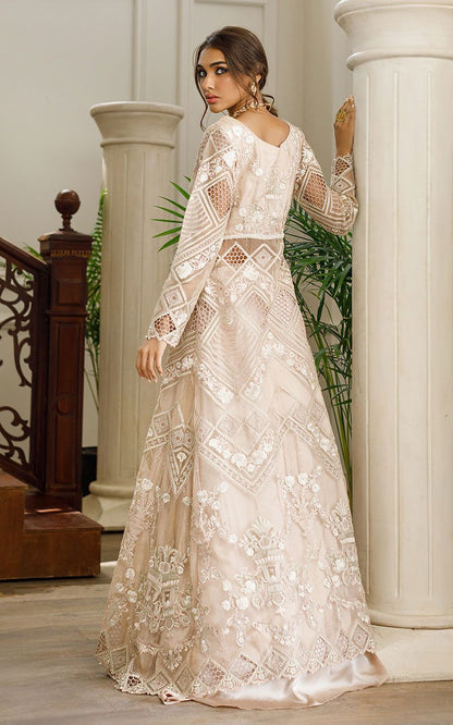 Organza Embroidered Dress with Skirt - Riwayat-e-khas