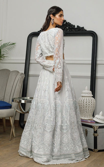 Net Embroidered Blouse and Skirt - Riwayat-e-khas