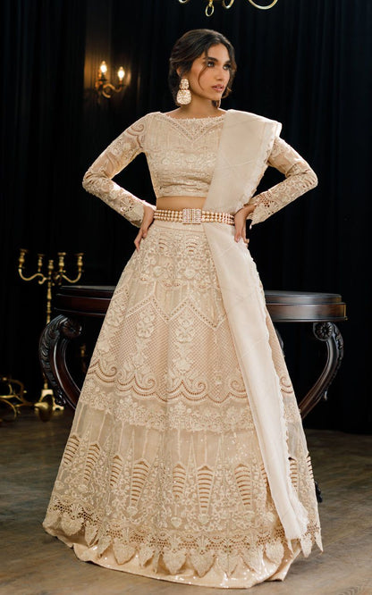 Organza Embroidered Blouse and Skirt - Riwayat-e-khas