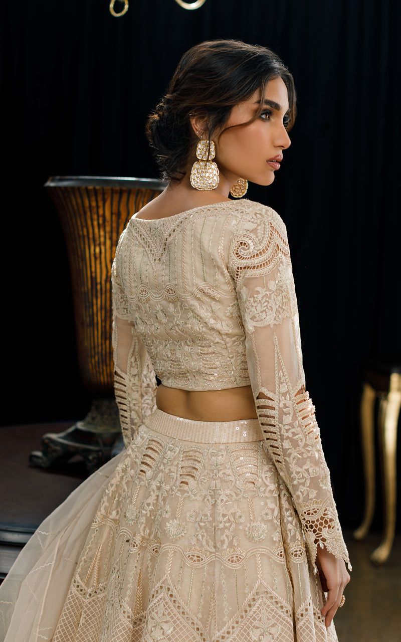 Organza Embroidered Blouse and Skirt - Riwayat-e-khas