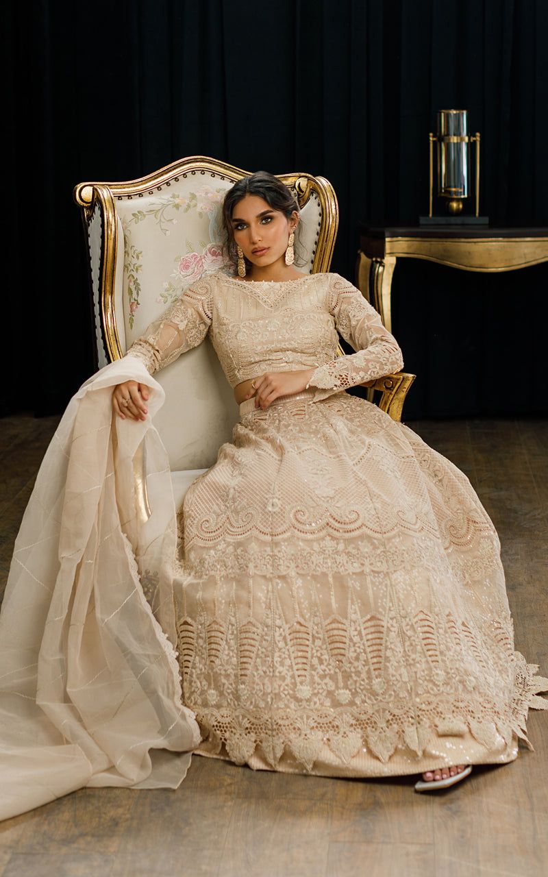 Organza Embroidered Blouse and Skirt - Riwayat-e-khas