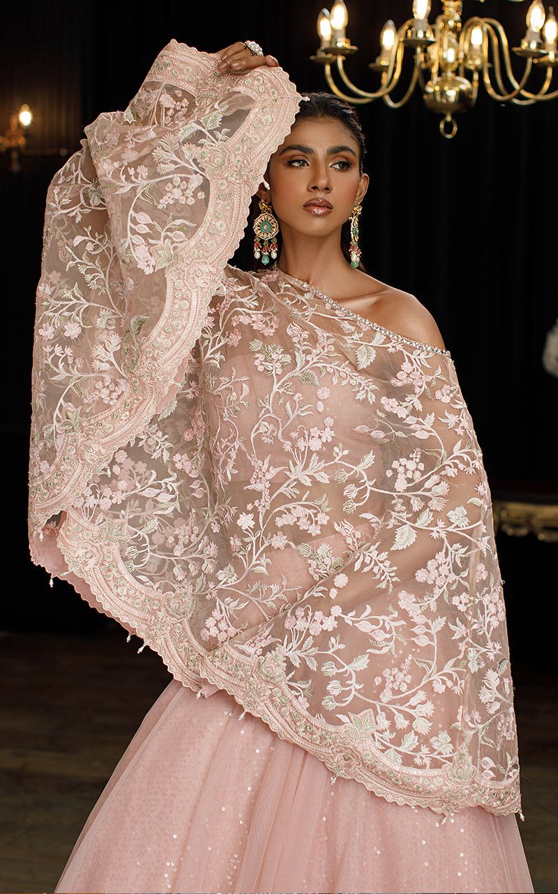 Organza Cape with Skirt - Riwayat-e-khas